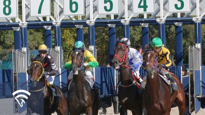 What is a Break from the Gate?