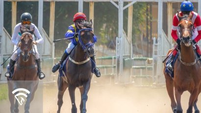 What is a Gate Tantrum in Horse Racing?