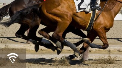 What Is a Race Replay in Horse Racing?