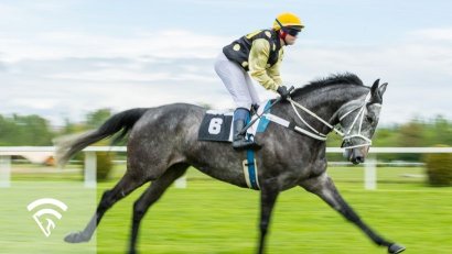 What Is a Reserve Price (RNA) in Horse Sales?