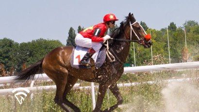 How Handicapping Software Helps Build Multi-Race Tickets on a Budget
