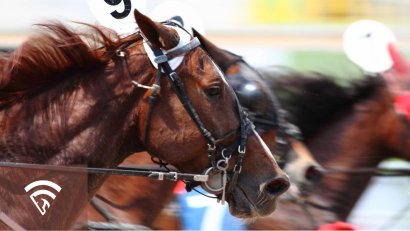 What is a Combo Bet in Horse Racing?