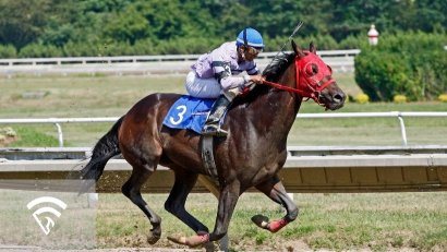 What Is Out-of-Sample Testing in Horse Racing?