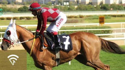 What is the Tote Board in Horse Racing?