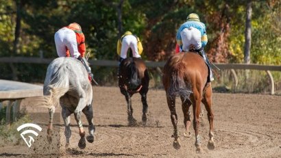 What is a Track Variant in Horse Racing? 