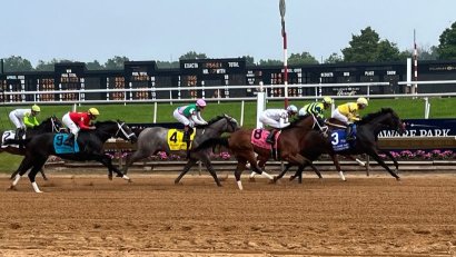 Delaware Park