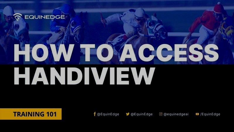 How to Access HandiView