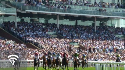 What Does It Mean to 'Bet Against the Public'?