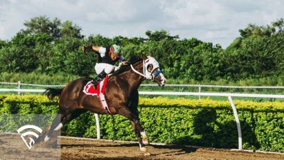 What Is a Nomination Fee in Horse Racing?