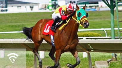 What Is Variance in Horse Racing Betting?