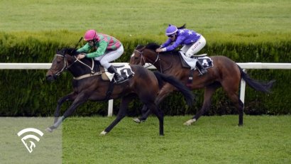 What Is a Vulnerable Favorite in Horse Racing?