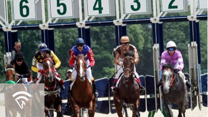 What is a Paddock in Horse Racing?