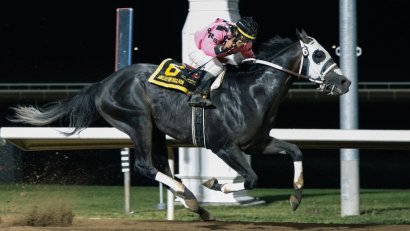 Century Mile