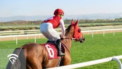 What Does Kidney Sweat Mean in a Racehorse?