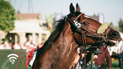 Racing Events