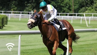 What Is a Starter in Horse Racing?