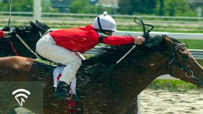What Does "Pricking the Ears" Mean for a Racehorse?
