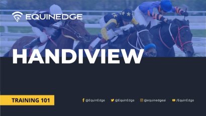 HandiView