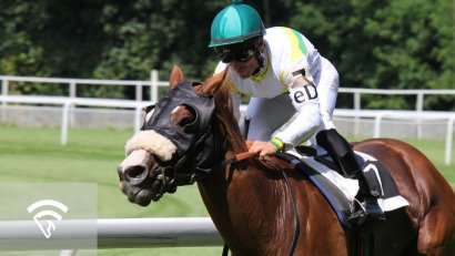 What is a Shadow Roll?