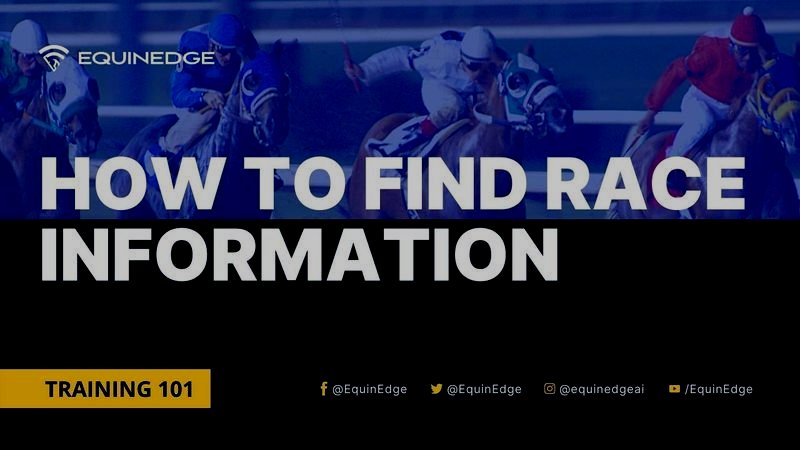 How to find Race Information