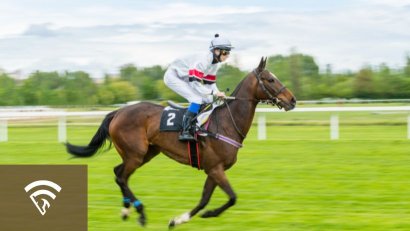 Key Factors in Handicapping