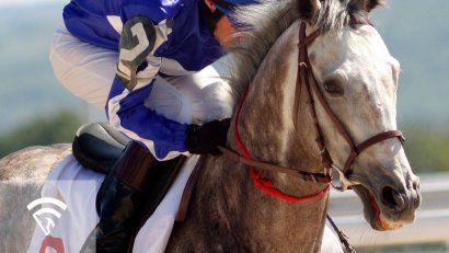 What is “Bleeding” in Racehorses?