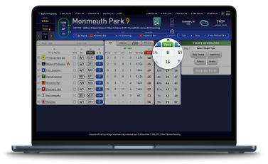 Pace Handicapping