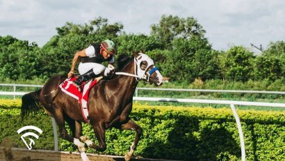 What is "Greenness" in Racehorse Paddock Demeanor?