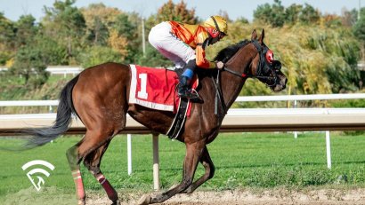 What Are Day Rates for Trainers?