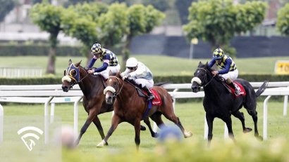 What Is Noise vs Signal in Horse Racing Data?