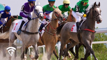 What are Colts in Horse Racing?