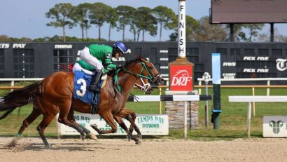 Tampa Bay Downs