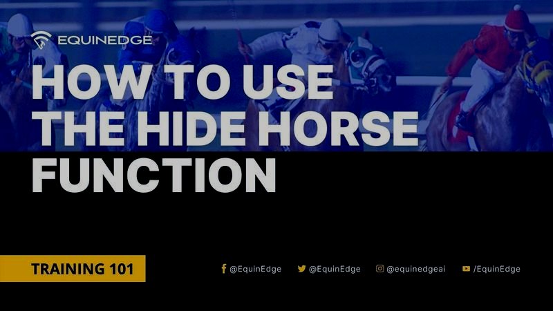 How to use the Hide Horse Function