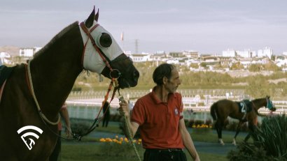 What is a Lead Pony in Horse Racing?