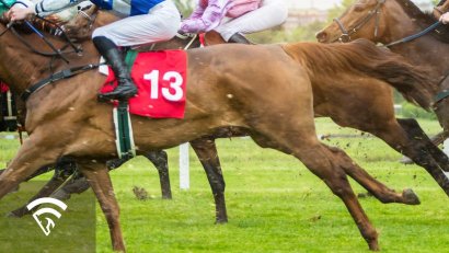 What is Equipment Change in Horse Racing?