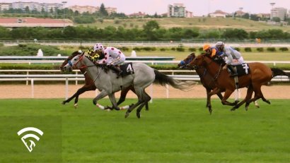 What is Pinhooking in Horse Racing?