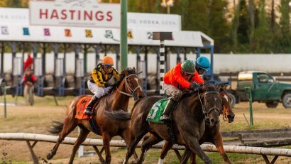 Hastings Racecourse