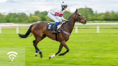 What is an Outrider in Horse Racing?
