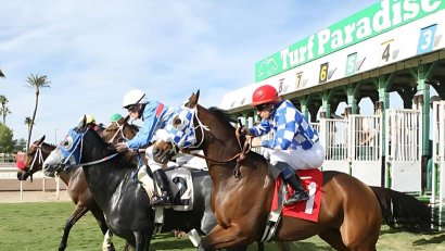 Turf Paradise