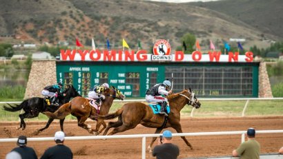 Wyoming Downs