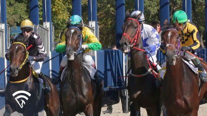 What is Class Level Movement?