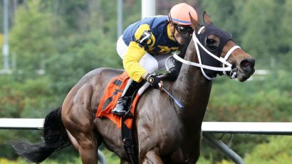 Presque Isle Downs
