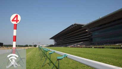 What is Horse Racing Handicapping?