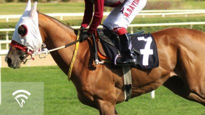 What Are Anti-Bleeder Medications Besides Lasix?