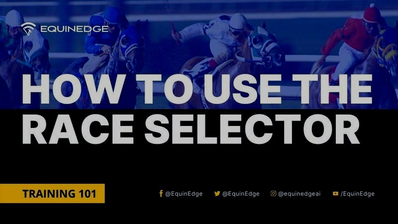 How to use the Race Selector