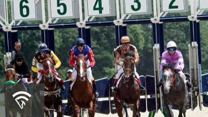 What is the Role of Handicappers in Horse Racing?