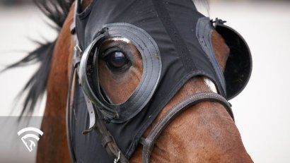 What is Second-Time Blinkers or Lasix?