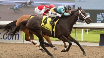 Woodbine Racetrack