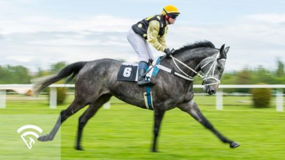What are Overnight Races (or Overnight Stakes)?