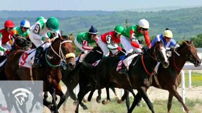 What is a Stretch Run in Horse Racing?